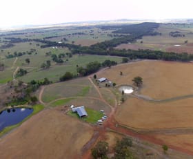 Rural / Farming commercial property for sale at 356 Sir Ivan Dougherty Drive Leadville NSW 2844