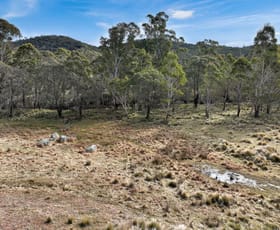 Rural / Farming commercial property sold at Lot 1065 Creewah Road Creewah NSW 2631