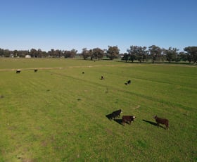 Rural / Farming commercial property for sale at 11009 The Escort Way Forbes NSW 2871