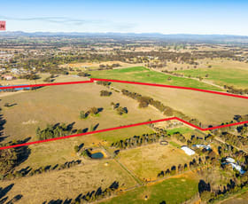 Rural / Farming commercial property for sale at Grails Road Rutherglen VIC 3685