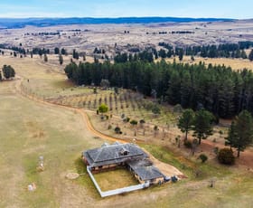 Rural / Farming commercial property for sale at 1587 Dalgety Road Dalgety NSW 2628
