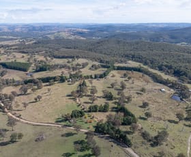 Rural / Farming commercial property sold at 692 Bald Ridge Road Bald Ridge NSW 2795