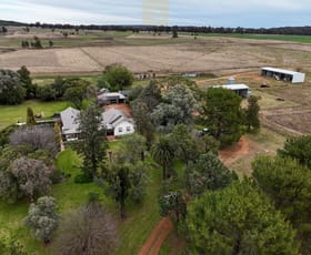 Rural / Farming commercial property for sale at 3744 Purlewaugh Road Purlewaugh NSW 2357