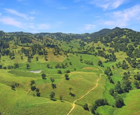 Rural / Farming commercial property sold at 1609 Pages Creek Road Road Scone NSW 2337