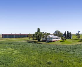 Rural / Farming commercial property sold at 294 Rosenberger Road Wyreema QLD 4352