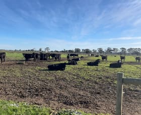 Rural / Farming commercial property for sale at 00 Corner Myall & Koondrook - Murrabit Road Myall VIC 3579