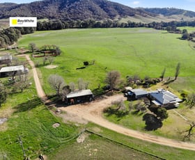 Rural / Farming commercial property for sale at 2621 Westbrook Road Tarcutta NSW 2652