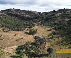Rural / Farming commercial property for sale at Park Ridge QLD 4125