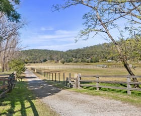 Rural / Farming commercial property for sale at 851 River Road Lower Portland NSW 2756