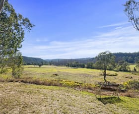 Rural / Farming commercial property for sale at 851 River Road Lower Portland NSW 2756