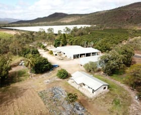 Rural / Farming commercial property for sale at 403 Springmount Road Mutchilba QLD 4872