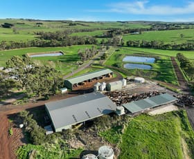 Rural / Farming commercial property sold at 660 Bucks Road Simpson VIC 3266