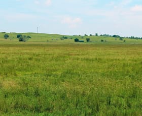 Rural / Farming commercial property for sale at Summerland Way Casino NSW 2470