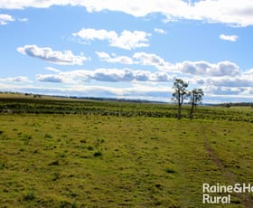 Rural / Farming commercial property for sale at Summerland Way Casino NSW 2470