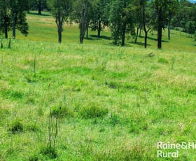 Rural / Farming commercial property for sale at Summerland Way Casino NSW 2470