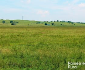 Rural / Farming commercial property for sale at Summerland Way Casino NSW 2470