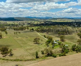 Rural / Farming commercial property for sale at 1409 Castlereagh Highway Mudgee NSW 2850