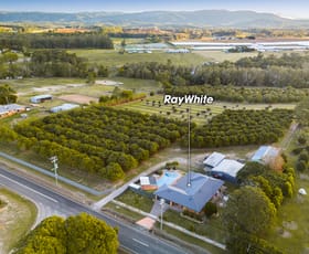 Rural / Farming commercial property sold at 257 Newlands Road Wamuran QLD 4512