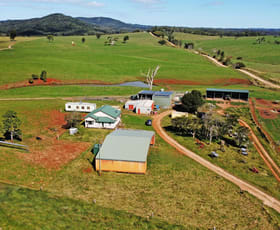 Rural / Farming commercial property for sale at 2381 Old Palmerston Highway Ravenshoe QLD 4888