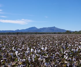 Rural / Farming commercial property sold at 788 Couradda Road Narrabri NSW 2390