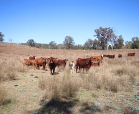 Rural / Farming commercial property for sale at 'Beeron' Beeron Road, Beeron Mundubbera QLD 4626