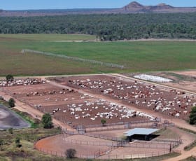 Rural / Farming commercial property sold at 312 Anabranch Road Breddan QLD 4820
