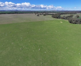 Rural / Farming commercial property sold at 'Runnymede' 214 Milvale Rd Stockinbingal NSW 2725