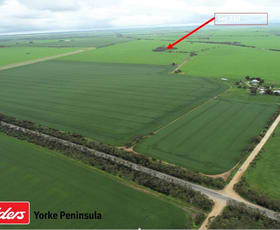 Rural / Farming commercial property sold at Sec 210 Pine Point Road Maitland SA 5573