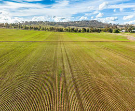 Rural / Farming commercial property sold at 413 Reynella Road Walbundrie NSW 2642