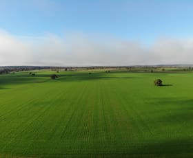 Rural / Farming commercial property for sale at 47 Adios Lane Bogan Gate NSW 2876