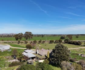 Rural / Farming commercial property for sale at 186 Hildebrands Road Horfield VIC 3567