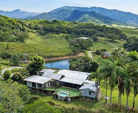 Rural / Farming commercial property sold at 1605 Mossman Mount Molloy Road Julatten QLD 4871