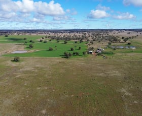 Rural / Farming commercial property sold at 3267 Fifield Road Fifield NSW 2875
