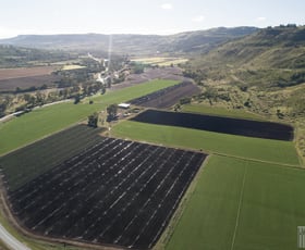 Rural / Farming commercial property sold at Lot 42 Mount Sylvia Rd Woodbine QLD 4343