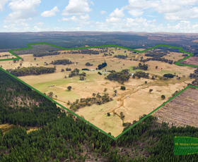 Rural / Farming commercial property for sale at 800 Riverview Forest Road Mozart NSW 2787