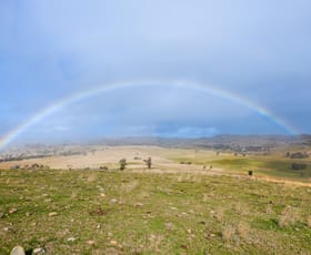 Rural / Farming commercial property sold at 1/738 Kaludabah Road Mudgee NSW 2850