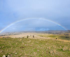 Rural / Farming commercial property for sale at 1/738 Kaludabah Road Mudgee NSW 2850