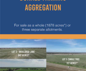 Rural / Farming commercial property for sale at 0 Borung Highway Jeffcott North VIC 3480