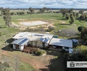 Rural / Farming commercial property sold at 1331 Brimpaen-Laharum Road Brimpaen VIC 3401