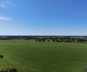 Rural / Farming commercial property sold at 00 Mansfields Bridge Road Leitchville VIC 3567