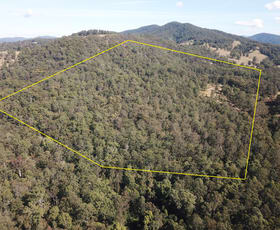 Rural / Farming commercial property sold at 85 Misty Ridge Road Bellangry NSW 2446