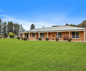 Rural / Farming commercial property sold at 203 Portland Sunny Corner Road Portland NSW 2847