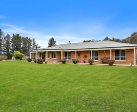 Rural / Farming commercial property for sale at 203 Portland Sunny Corner Road Portland NSW 2847