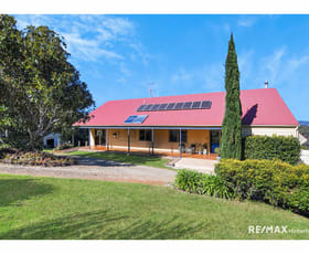 Rural / Farming commercial property for sale at 527 Maleny Kenilworth Road Witta QLD 4552