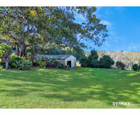 Rural / Farming commercial property for sale at 527 Maleny Kenilworth Road Witta QLD 4552