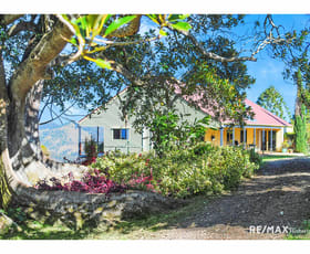 Rural / Farming commercial property for sale at 527 Maleny Kenilworth Road Witta QLD 4552