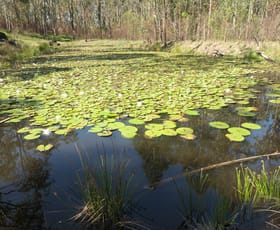 Rural / Farming commercial property sold at 134 Sugarbag Rd W Drake NSW 2469