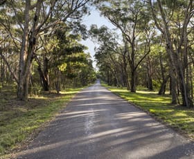 Rural / Farming commercial property for sale at 524 Hanging Rock Road Sutton Forest NSW 2577
