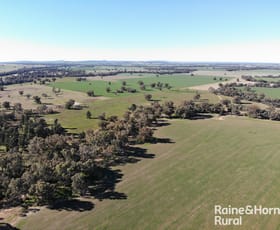 Rural / Farming commercial property sold at Lots 109 & 24/1230 Blayneys Road Kikiamah NSW 2594
