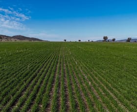 Rural / Farming commercial property sold at 410-430 Jetty Road Boneo VIC 3939
